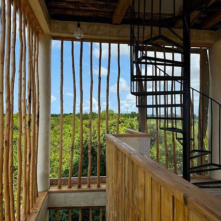 Garden Eden Lodge Джамбиани Экстерьер фото